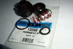 13260 Thermostat Johnson Parts