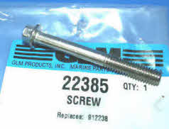 22385 screw