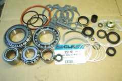 25110 parts kit seals bearings shims