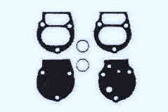 40300 diaphragm kit