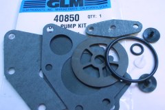 40850-Johnson-fuel-pump-kits-16.95.jpg