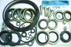 87600 Johnson seal kit