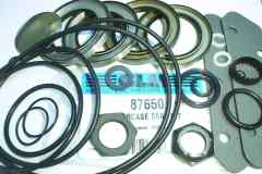 87650 seal kit