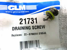 Magnetic drain screw