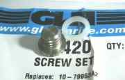 22420 Screw set