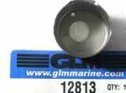 12813 Pump cup