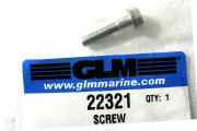 22321 Screw