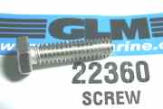 22360 Screw