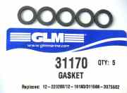 31170 Gasket