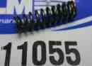 11055 Spring