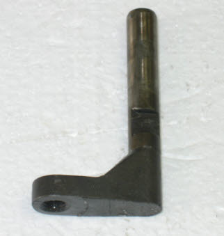 LM dentent.jpg