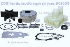 12068 Impeller repair set years 2004-2009