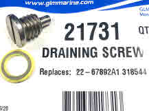 21731 Draining Screw