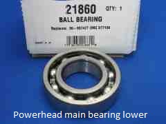 21860 Evinrude main bearing 3 cylinder