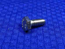 22329 OMC Screw