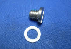 22420 Vent Screw Plug 10-79953Q2