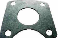 31150 Water gasket