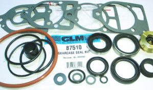 lower unit seal kit