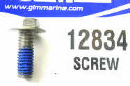 12834 Screw