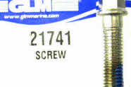 21741 Screw
