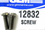 Screws 12832