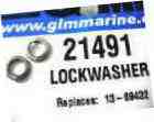 T 21491 Lockwasher.jpg