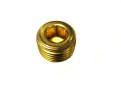T 21893 plug.jpg
