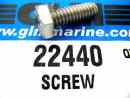 22440 screw