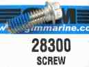 28300 Screw