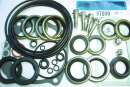 87600 Johnson seal kit 