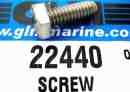 22440 Alpha 1 screw