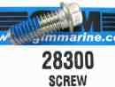 TM 28300 Alpha 1 screw