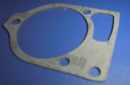 31050 Alpha 1 gasket