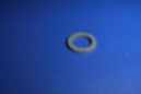 31170 Alpha 1 gasket for housing drain screw