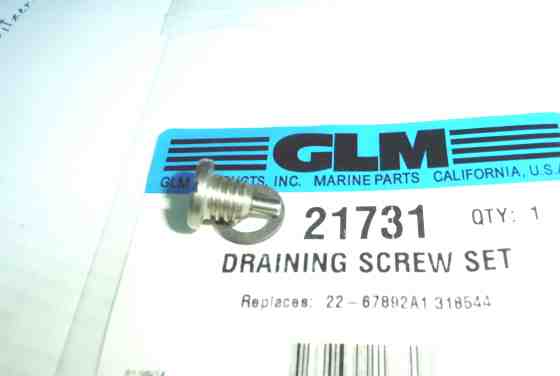 21731 oil plug drain screw