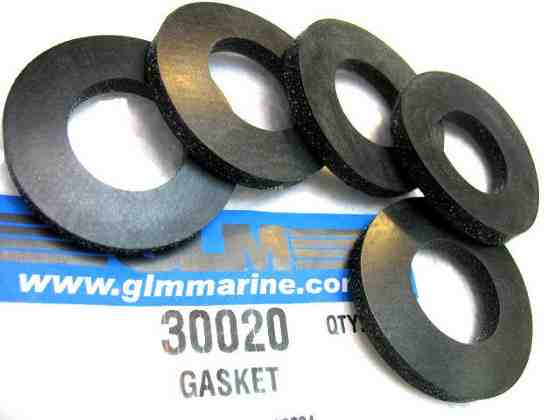 W 30020 Alpha 1 gasket.jpg
