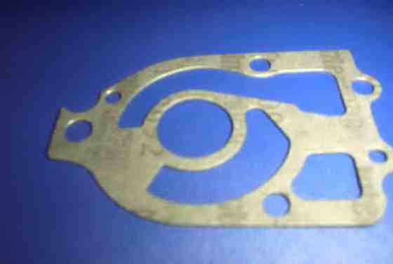 W 31010 Alpha 1 pump to lower wear plate gasket.jpg